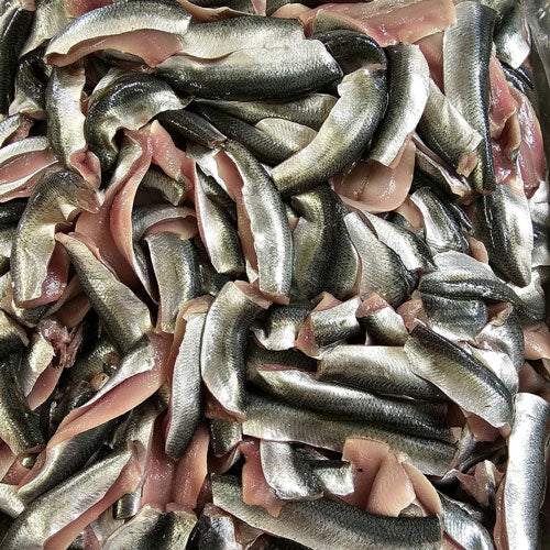 Surstromming Fileer / Filets - Röda Ulven